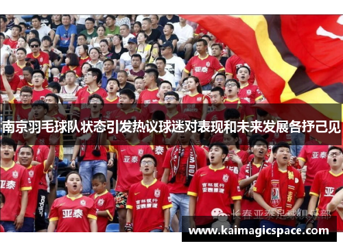 南京羽毛球队状态引发热议球迷对表现和未来发展各抒己见
